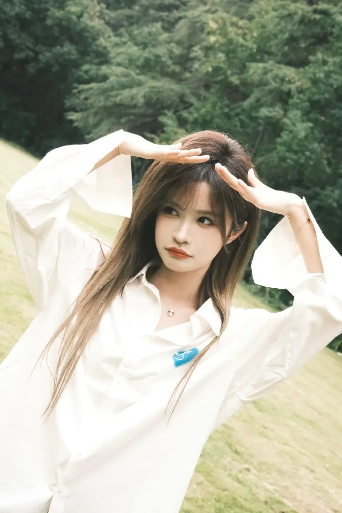 3DS主题下载界面